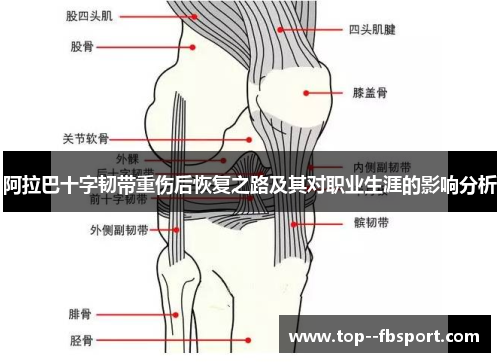 阿拉巴十字韧带重伤后恢复之路及其对职业生涯的影响分析 阿拉巴十字韧带重伤后恢复之路及其对职业生涯的影响分析